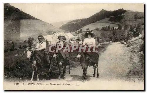 Le Mont Dore Cartes postales Promenade a anes (mule donkey) TOP