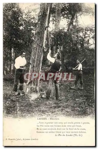 Landes Cartes postales Resiniers (metier)