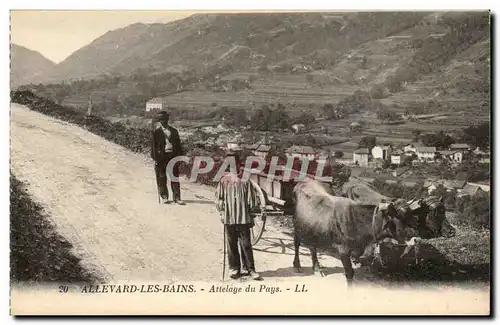 Allevard les Bains Cartes postales Attelage du pays (vache s boeufs)