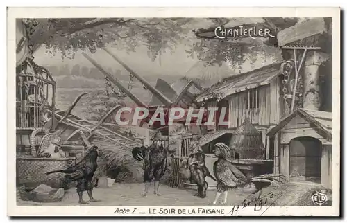 Cartes postales Fantaisie Chantecler Acte 1 Le soir de la faisane Coq