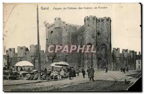 Cartes postales Gand Facade du chateau des comtes de Flande