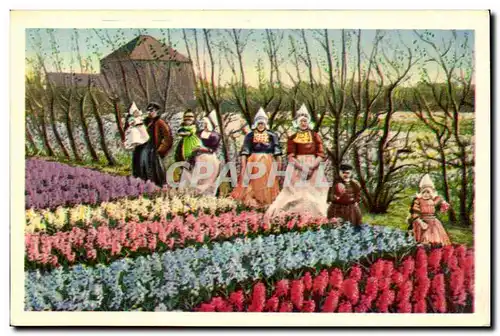 Cartes postales Pays Bas Tulipes Fleurs dans les champs Folklore