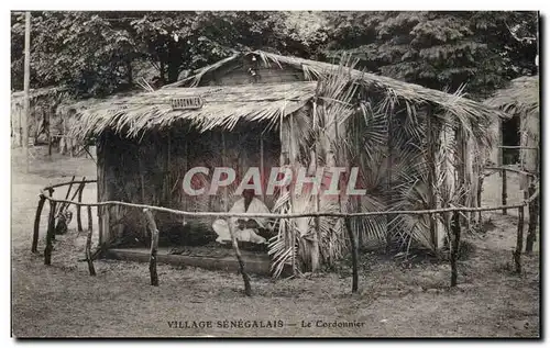 Cartes postales Senegal village senagalais Le cordonnier