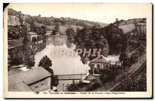 Cartes postales Environs de Limoges Vallee de la Vienne Aux Paquerettes