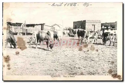 Cartes postales Djibouti Parc a Boeufs Cote des Somalis