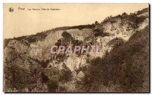 Cartes postales Freyr Les Rochers (Tete de Napoleon)