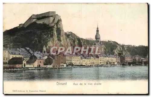 Cartes postales Dinant Vue de la rive droite