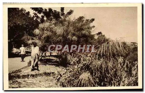 Cartes postales Afrique Occidentale Francaise