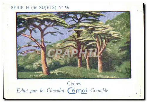 Image Cedres edite Par le Chocolat Cemol Grenoble
