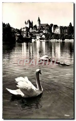 Cartes postales Zurich Cygnes