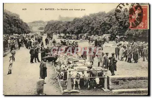 Cartes postales Bayeux Le Marche aux Veaux Gras Vaches TOP