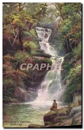 Cartes postales O Sullivan s Cascade Killarney