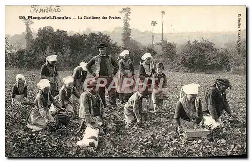 Cartes postales Plougastel Daoulas La Cueillette Des Fraises TOP