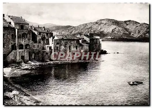 Cartes postales moderne Cap Corse St Florent Un coin de la ville