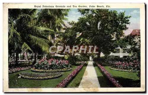 Cartes postales Royal Poinciana Grounds And Tea Garden Palm Beach Fla