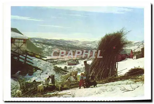 Cartes postales moderne Norge Patri Fra Hemsedal