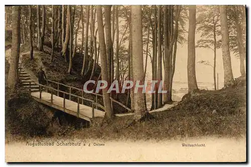 Cartes postales Augustusbad Scharbeulz D Ostsee Wolfsschlucht