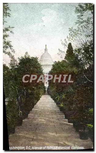 Cartes postales Washington D C Avenue Of Palms Botanical Gardens