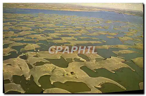 Cartes postales Sand Dunes At Potholes Reservoir Washington