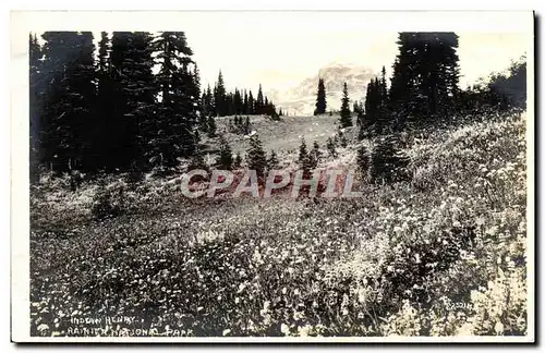 Cartes postales Indian Henry Rainer Nation Park