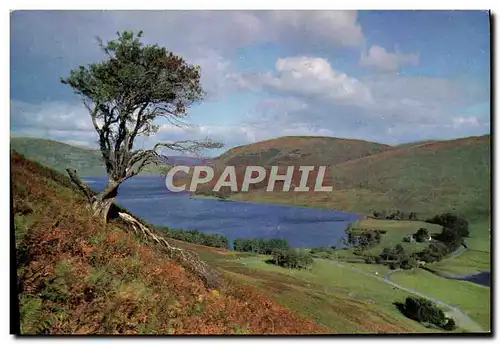 Cartes postales moderne St Mary&#39s Loch And Tibbie Shiels Inn Selkirkshire