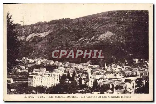 Cartes postales Le Mont Dore Le Casino et les Grands Hotels