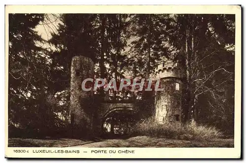 Cartes postales Luxeuil Les Bains Porte Du Chene