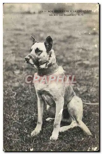 Cartes postales Douanes Nos Douaniers a la frontiere Un ami des douaniers Chien