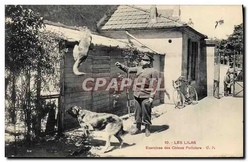 Cartes postales Les Lilas Exercices des chiens policiers Chien Police Policier