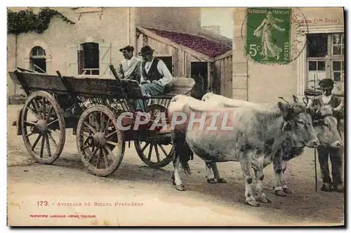 Cartes postales Folklore Pyrenees Attelage de boeufs pyreneens