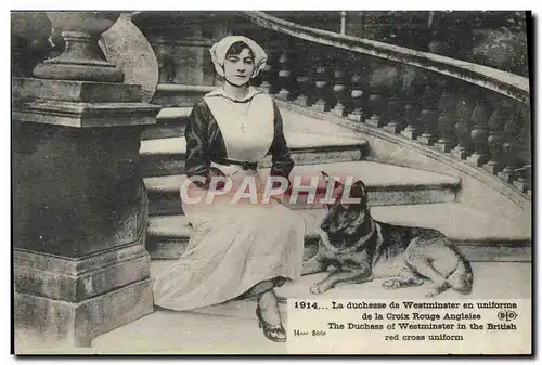 Cartes postales La duchesse de Westminster en uniforme de la Croix Rouge anglaise Chien