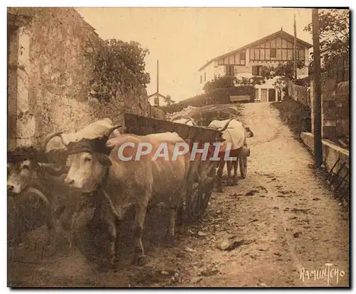 Cartes postales Folklore Au pays basque Attelage de boeufs