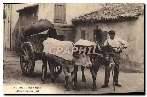 Cartes postales Folklore Scenes et types basques Attelage Boeufs