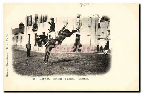 Cartes postales Hippisme Cheval Saumur Sauteur en liberte Capriole