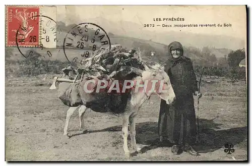 Cartes postales Folklore Pyrenees Deux inseparables revenant du bois Ane Mule