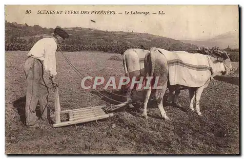 Cartes postales Attelage Le labourage Boeufs