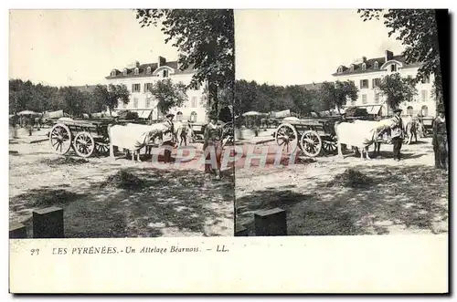 Cartes postales Pyrenees Un attelage bearnais Boeufs