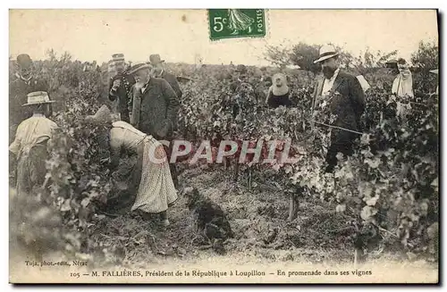 Cartes postales M Fallieres President de la Republique a Loupillon En promenade dans ses vignes