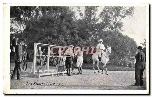 Cartes postales Le polo Cheval