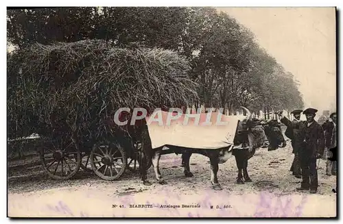 Cartes postales Attelage Bearnais Biarritz