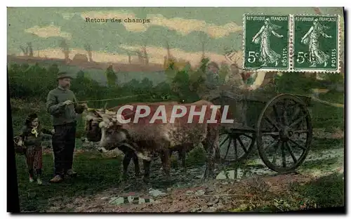 Cartes postales Attelage Retour des champs Boeufs