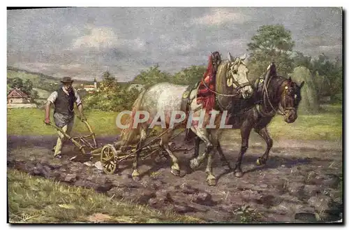 Cartes postales Attelage Cheval Labours Labourage