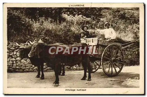 Cartes postales Attelage rustique Boeufs Auvergne