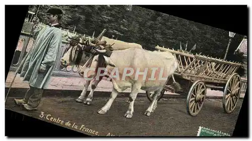 Cartes postales Attelage Centre de la France Attelage Bourbonnais