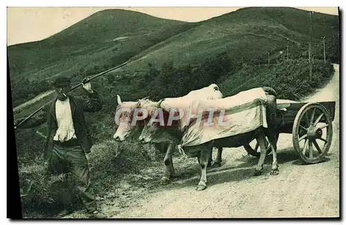 Cartes postales Attelage basque Boeufs