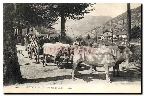 Cartes postales Attelage Lourdes Un attelage paysan Boaufs