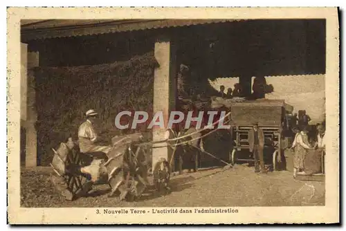 Cartes postales Locomobile Nouvelle terre L&#39activit� dans l&#39administration Tracetur