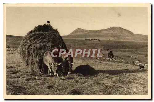 Cartes postales Folklore La fenaison sur les Hauts Plateaux