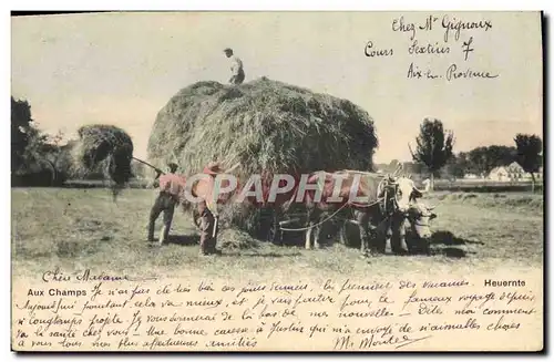 Cartes postales Folklore Aux champs Attelage