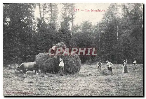 Cartes postales Folklore La fenaison Cheval